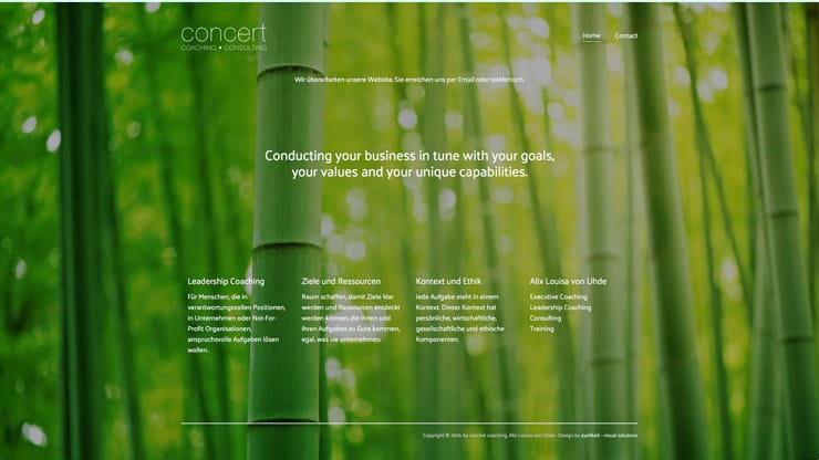 concert coaching
